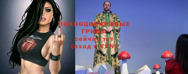 мдпв Кулебаки