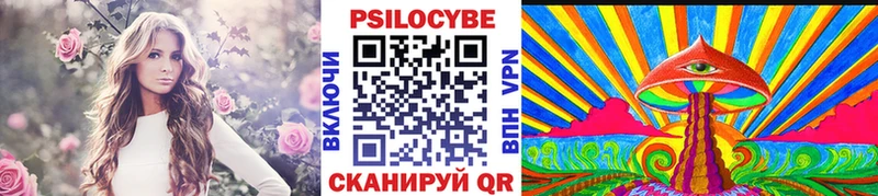 как найти закладки  блэк спрут ссылки  Галлюциногенные грибы MAGIC MUSHROOMS  Кирс 